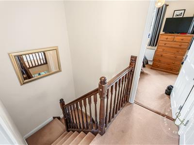 Picture 24
